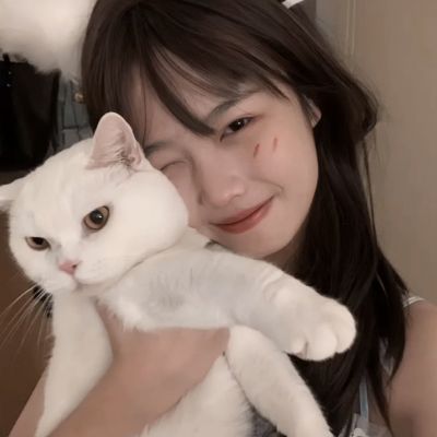 PG麻将胡了免费版手机app下载