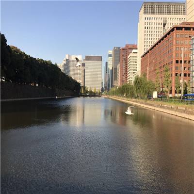 AG官方平台下载地址下载手机版