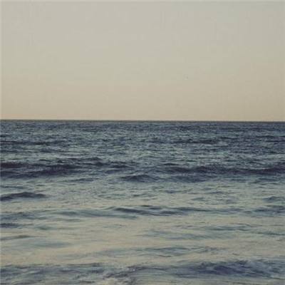 开全站登录app下载手机版